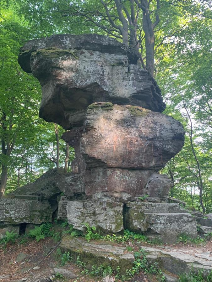 Schronisko Gorskie Pttk Na Jaworzynie Krynickiej Krynica-Zdrój Exterior foto